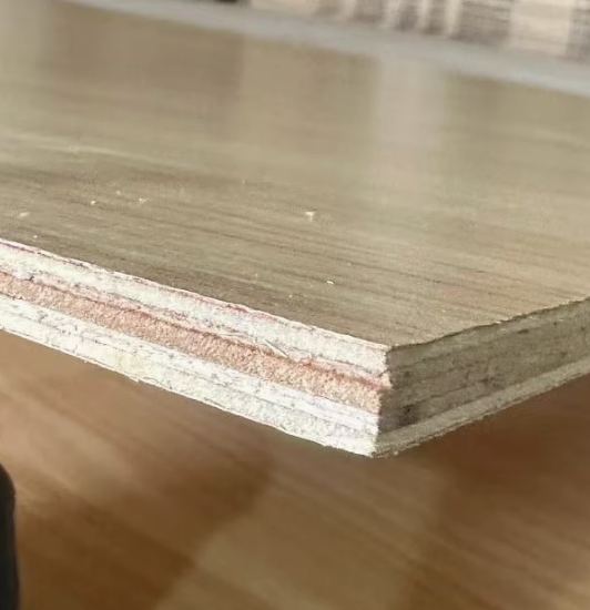 龙蝶牌生态背板