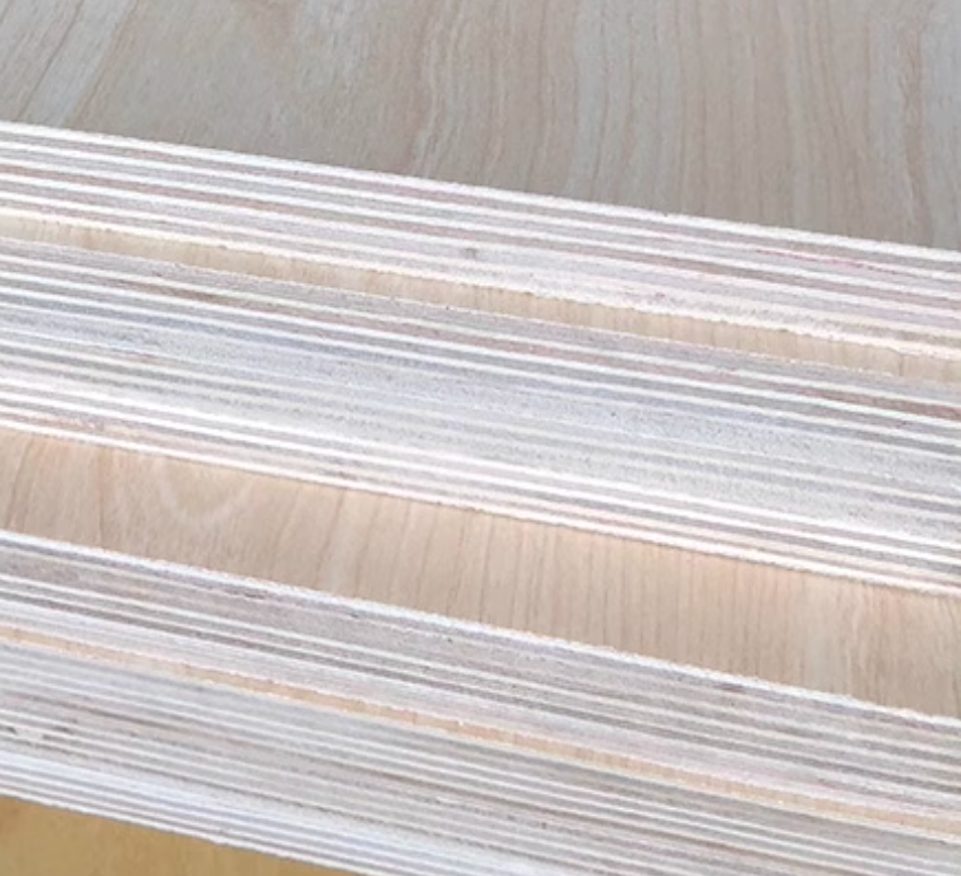 龙蝶牌多层生态板